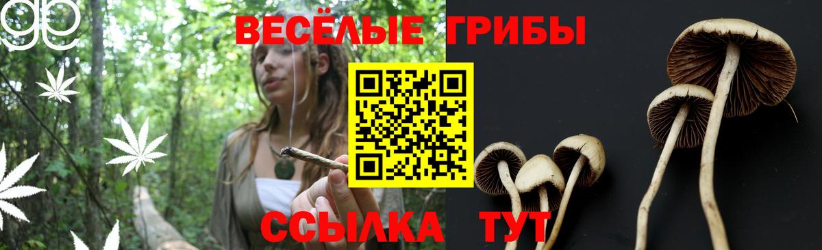 Галлюциногенные грибы Psilocybe  Вход с VPN  Елизово  Галлюциногенные грибы мицелий 